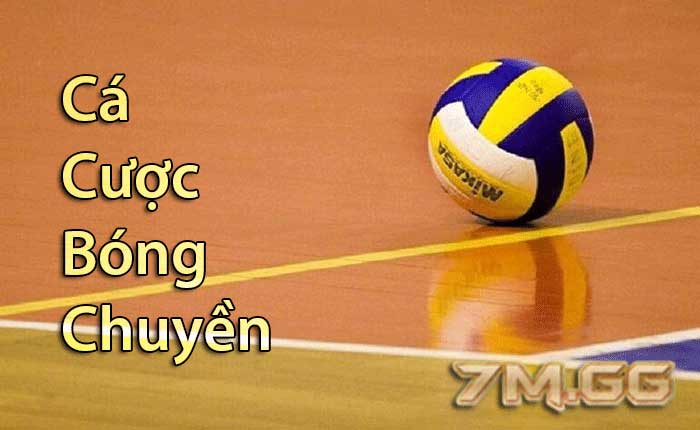 cá cược bóng chuyền