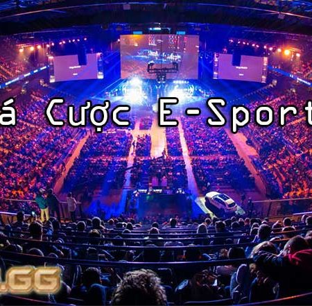 Cá cược E-Sports – Cá độ thể thao điện tử tại nhà cái cá cược