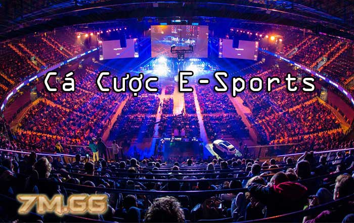 cá cược esports