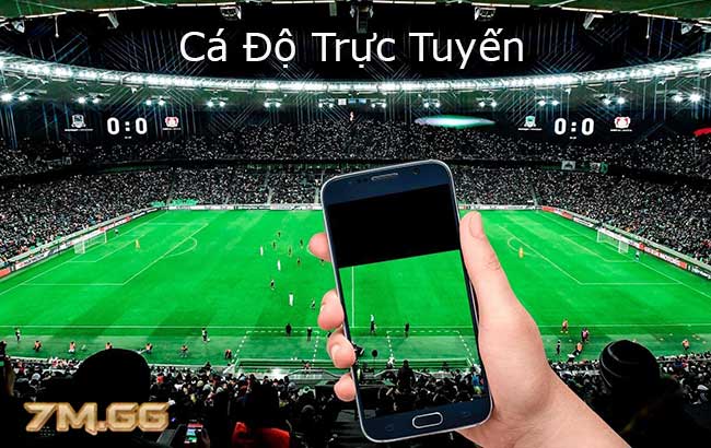 cá độ trực tuyến