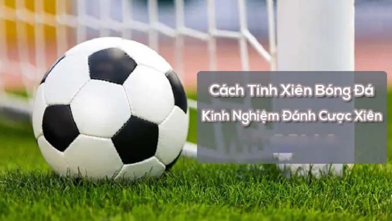 Cách tính xiên trong cá độ tại nhà cái vn88