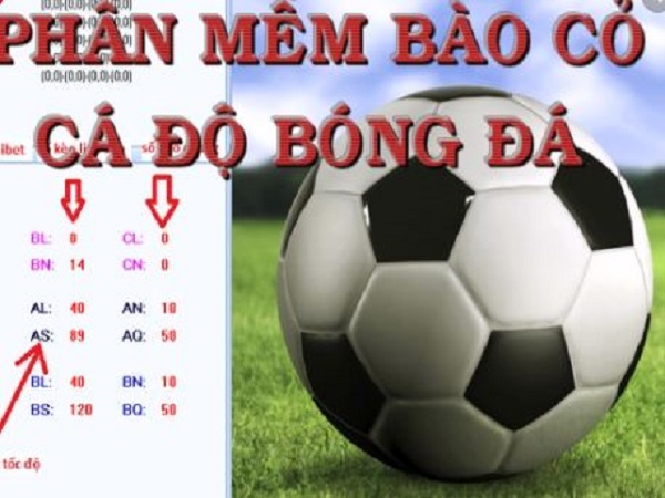 Top những phần mềm cá độ bóng đá chuyên nghiệp nhất hiện nay 