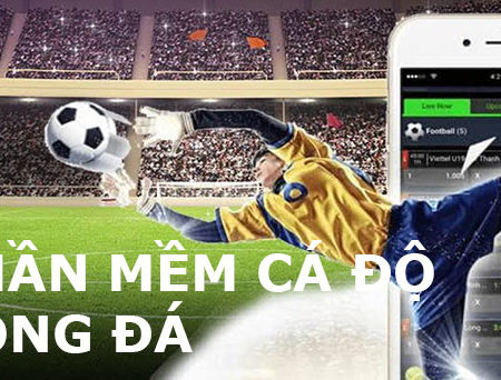 Tìm hiểu những phần mềm soi Odds giúp chơi cá độ bóng đá hiệu quả hơn