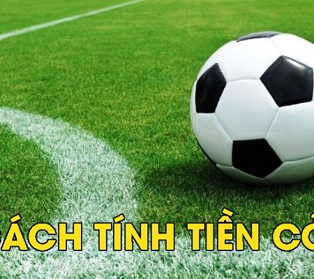 Tiền cỏ là gì? Hướng dẫn tính tiền cỏ tại nhà cái W88 chi tiết nhất