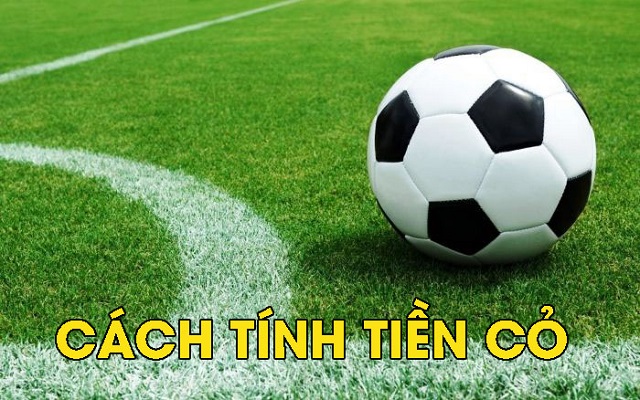 Cách tính tiền cỏ